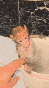 a monkey is taking a bath in a bucket