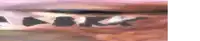a close up of a person 's face with the word aokk written on it .