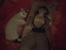 a white cat laying next to a pillow with a picture of a woman on it
