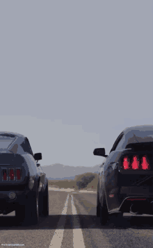 Mustang GIF - Mustang GIFs