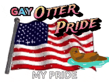 an american flag with the words gay otter pride written on it