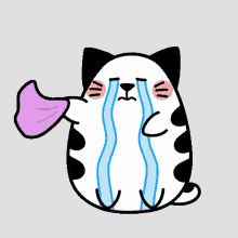 Matcha Cat GIF - Matcha Cat Sob GIFs