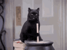 GIF