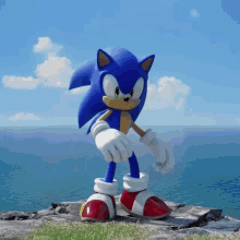 Sonic Frontiers Surprised Sonic GIF