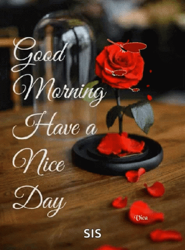 Good Morning Have A Nice Day GIF - Good Morning Have A Nice Day ...