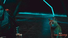 Devouring Humans The Marvels GIF - Devouring Humans The Marvels Cat Eating GIFs