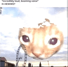 a picture of a cat with a caption that says " incredibly loud booming voice h-hewwo "
