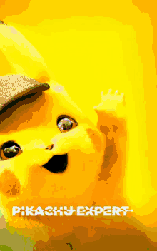 Pikachu Expert Pokemon GIF - Pikachu Expert Pokemon Smile GIFs