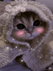 a close up of a cat wrapped in a white blanket with bubbles around it