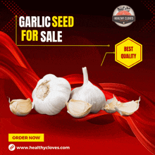 Garlic Ontraio GIF - Garlic Ontraio Organic GIFs