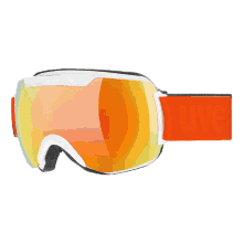 sports skibrille