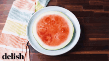 watermelon pig fruit animal fresh
