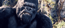 King Kong Mad GIF - King Kong Mad Angry GIFs