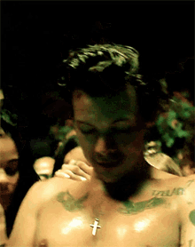 harry styles shirtless gif