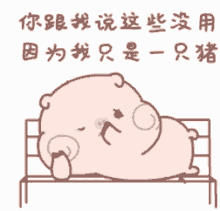 mimibubu