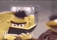 Sesame Street Bert GIF - Sesame Street Bert GIFs