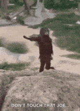 a monkey is standing on top of a rock in a zoo .