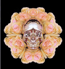 Skull Calavera GIF