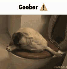 a picture of a dog laying on a toilet with the words goober above it
