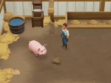 coral island farmer pig ranch stairway games
