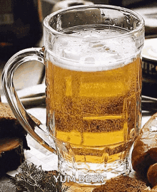 Beer Bubbles GIF - Beer Bubbles Cold Beer GIFs
