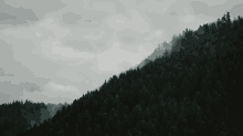 fog mountain