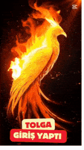 a painting of a phoenix with the words tolga giriş yapti on the bottom