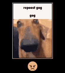 Gog GIF - Gog GIFs