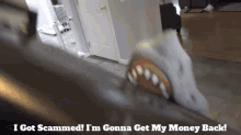 Shark Puppet I Got Scammed GIF - Shark Puppet I Got Scammed Im Gonna Get My Money Back GIFs