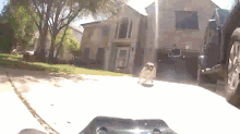 Dog Chasing Cars GIF