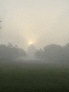 the sun is shining through the fog in a field