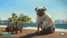 Mighty Mike Pug GIF - Mighty Mike Pug Dog GIFs