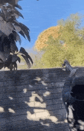 a man is holding a gun over a brick wall with trees in the background