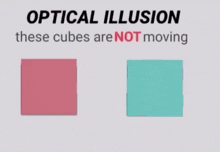 optical illusion these cubes are not moving is written on a white background