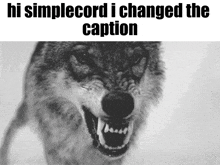 Wolf Simpleflips GIF