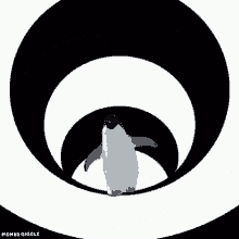 Penguin Keep Going GIF - Penguin Keep Going Never Give Up GIFs