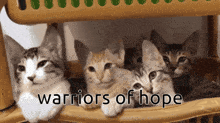 Warriors Of Hope Kibou No Senshi GIF - Warriors Of Hope Kibou No Senshi GIFs