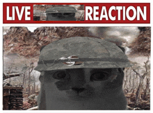 a cat wearing a military helmet is on a live reaction poster