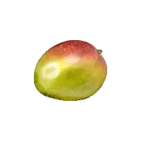 a close up of a green and red mango on a white background
