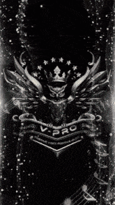 a logo for v-pro positive vibes positive music with an owl