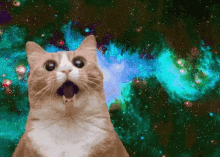 Cats Space GIF - Cats Space Shocked GIFs