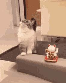 Cat Toy GIF - Cat Toy Wave GIFs