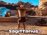 Sagittarius Zodiac Sign GIF - Sagittarius Zodiac Sign Bow GIFs