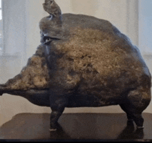 a large statue of a pig is sitting on a table .