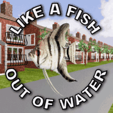 Like A Fish Out Of Water Uncomfortable GIF - Like A Fish Out Of Water Uncomfortable Restless GIFs