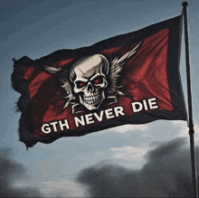 a flag with a skull and the words gth never die on it