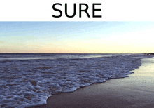 Shore Sure GIF - Shore Sure Yes GIFs
