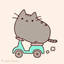 pusheen scooter riding they see me rolling