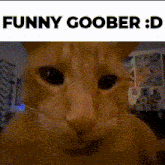 Goofy Goober Funny GIF - Goofy Goober Funny GIFs