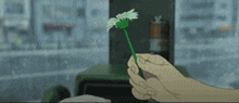 a person is holding a flower in their hands